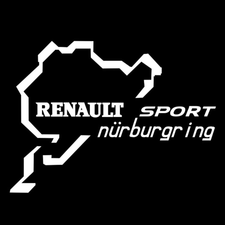 RENAULT Sport LOGO PROJECROTR LIGHTS Nr.0917 (quantity 1 = 2 Logo Film & 2 door lights)