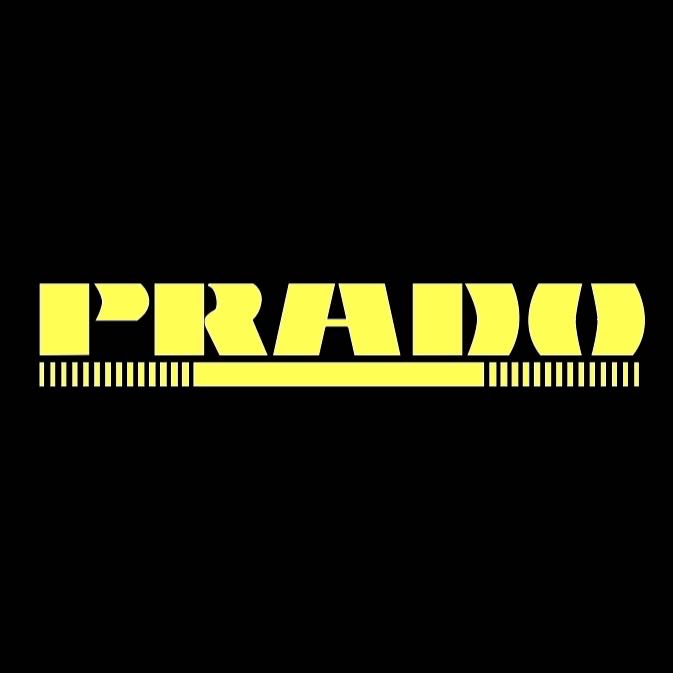 TOYOTA PRADO LOGO PROJECROTR LIGHTS (quantity 1 = 1 sets/2 door lights) Nr.0G15