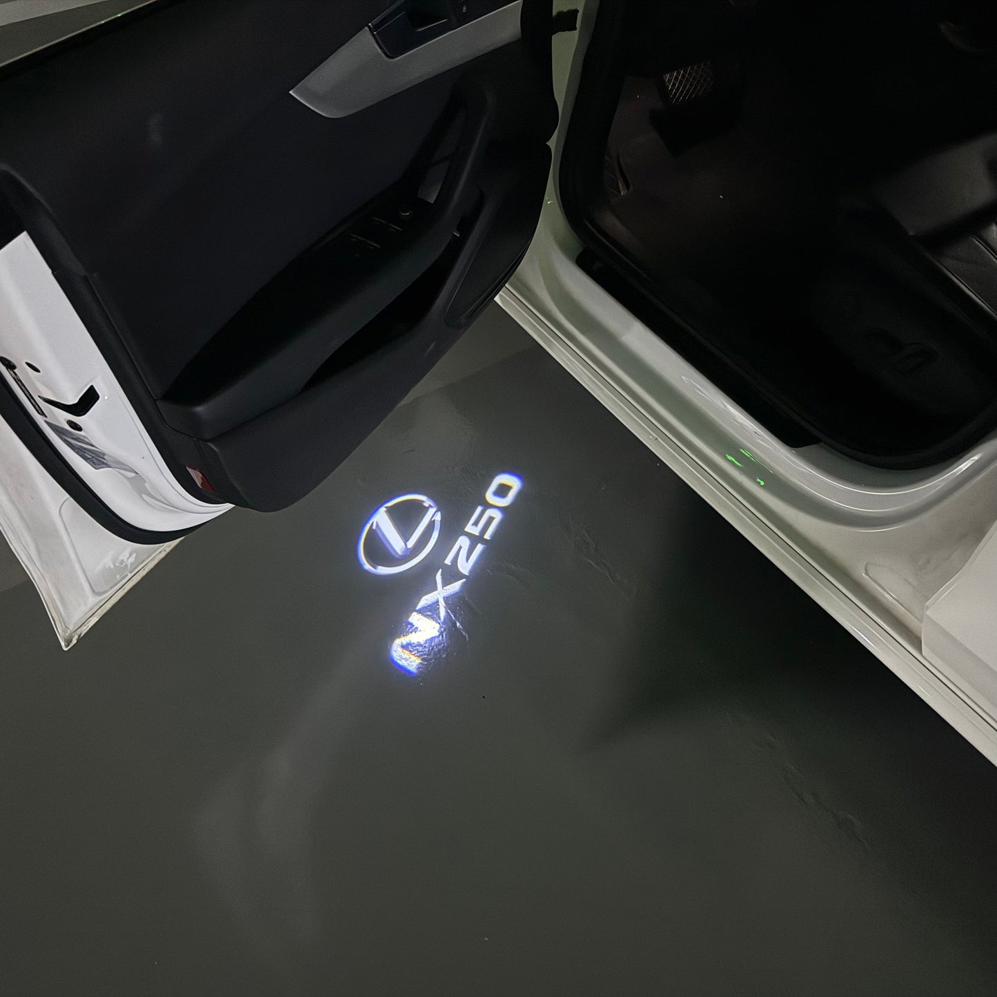 LEXUS NX 250 LOGO PROJECROTR LIGHTS (quantity 1 = 1 sets/2 door lights)Nr.01a26
