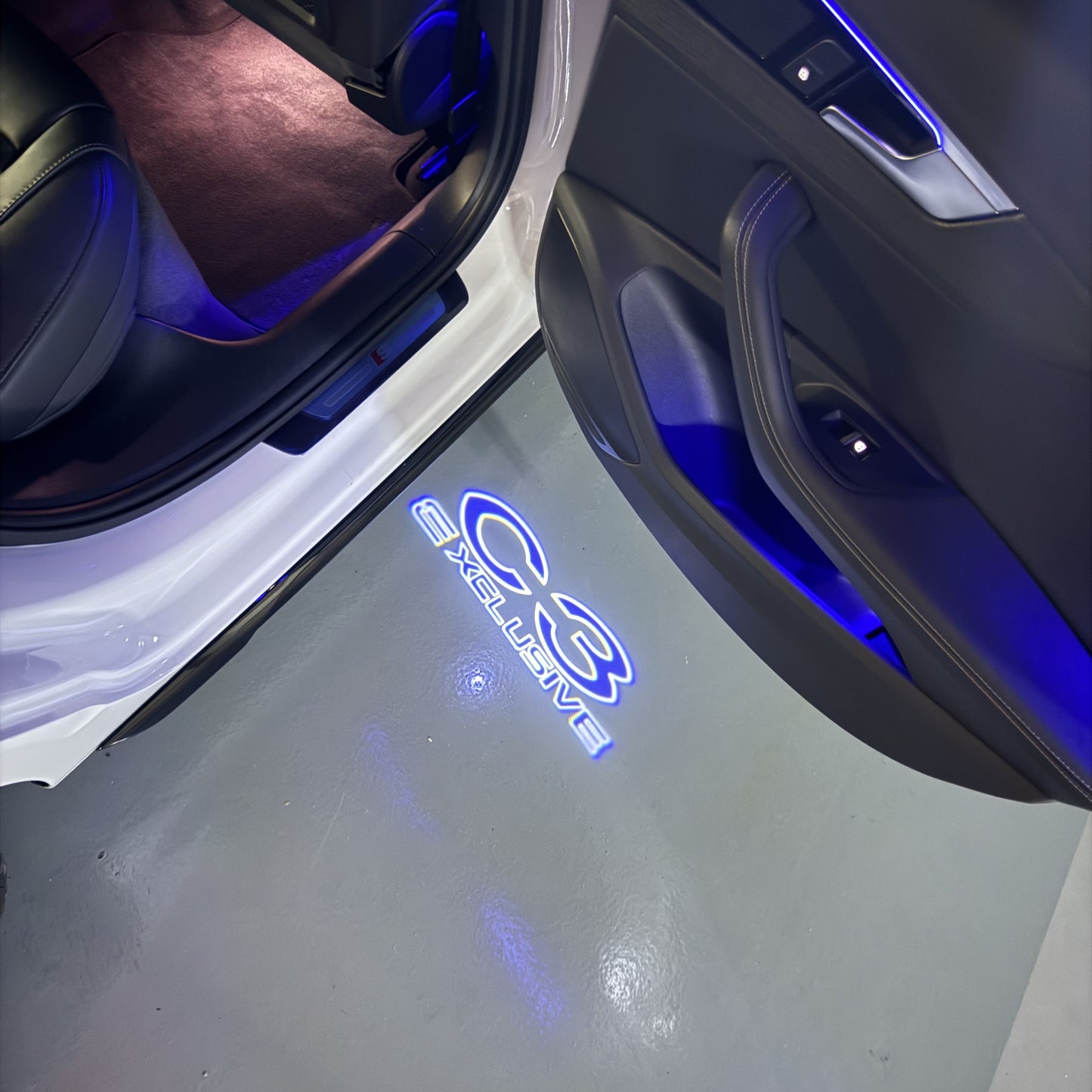 CITROËN C3 EXCLUSIVE LOGO PROJECTOT LIGHTS (quantity 1 = 1 sets/2 door lights) Nr.6024q0t0127