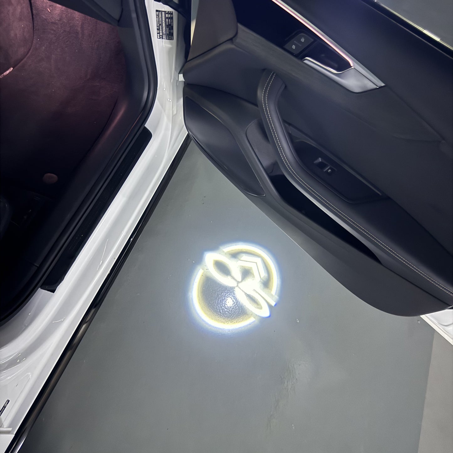 CITROËN C5 LOGO PROJECTOT LIGHTS (quantity 1 = 1 sets/2 door lights) Nr.6024q0t0155