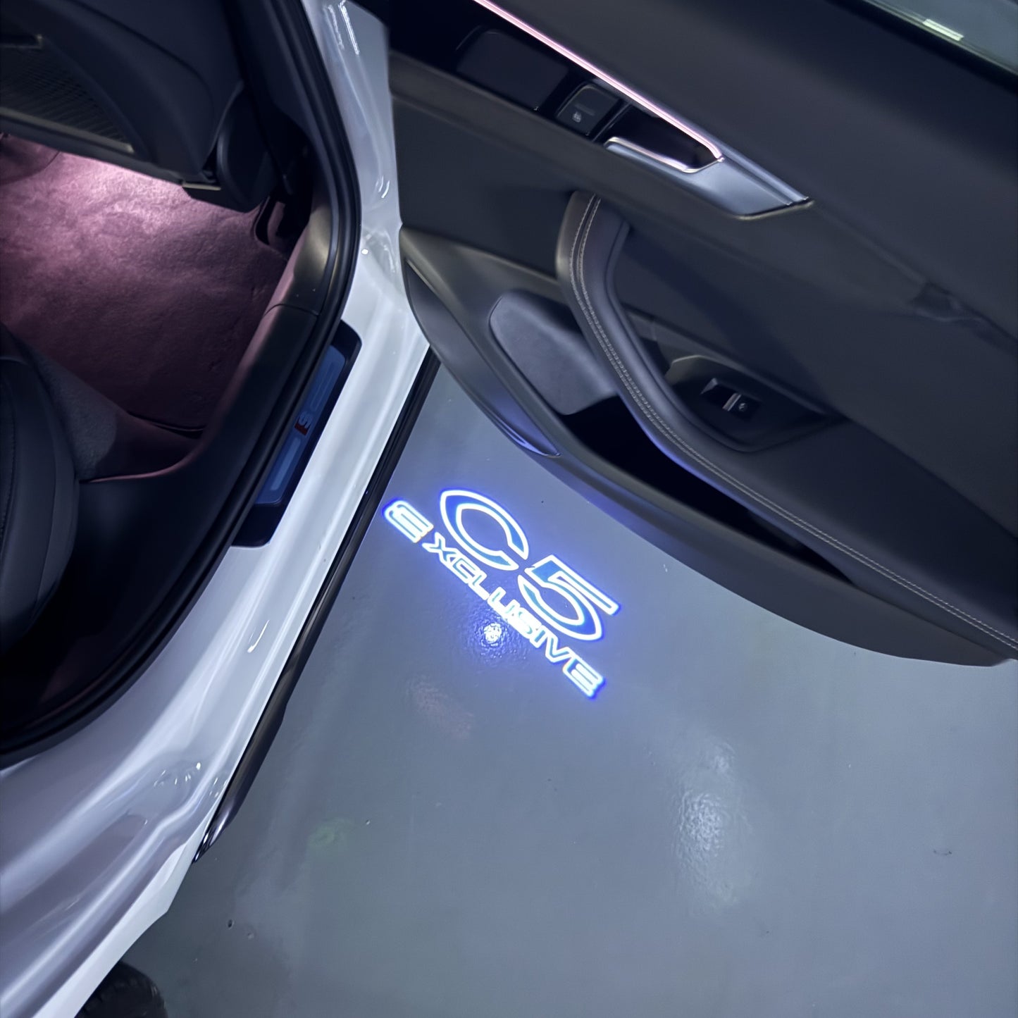 CITROËN C5 EXCLUSIVE LOGO PROJECTOT LIGHTS (quantity 1 = 1 sets/2 door lights) Nr.6024q0t0133