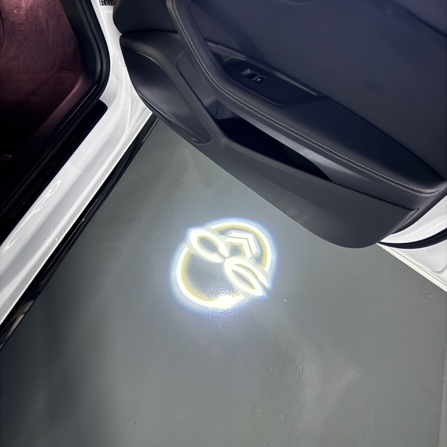 CITROËN C6 LOGO PROJECTOT LIGHTS (quantity 1 = 1 sets/2 door lights) Nr.6024q0t0138