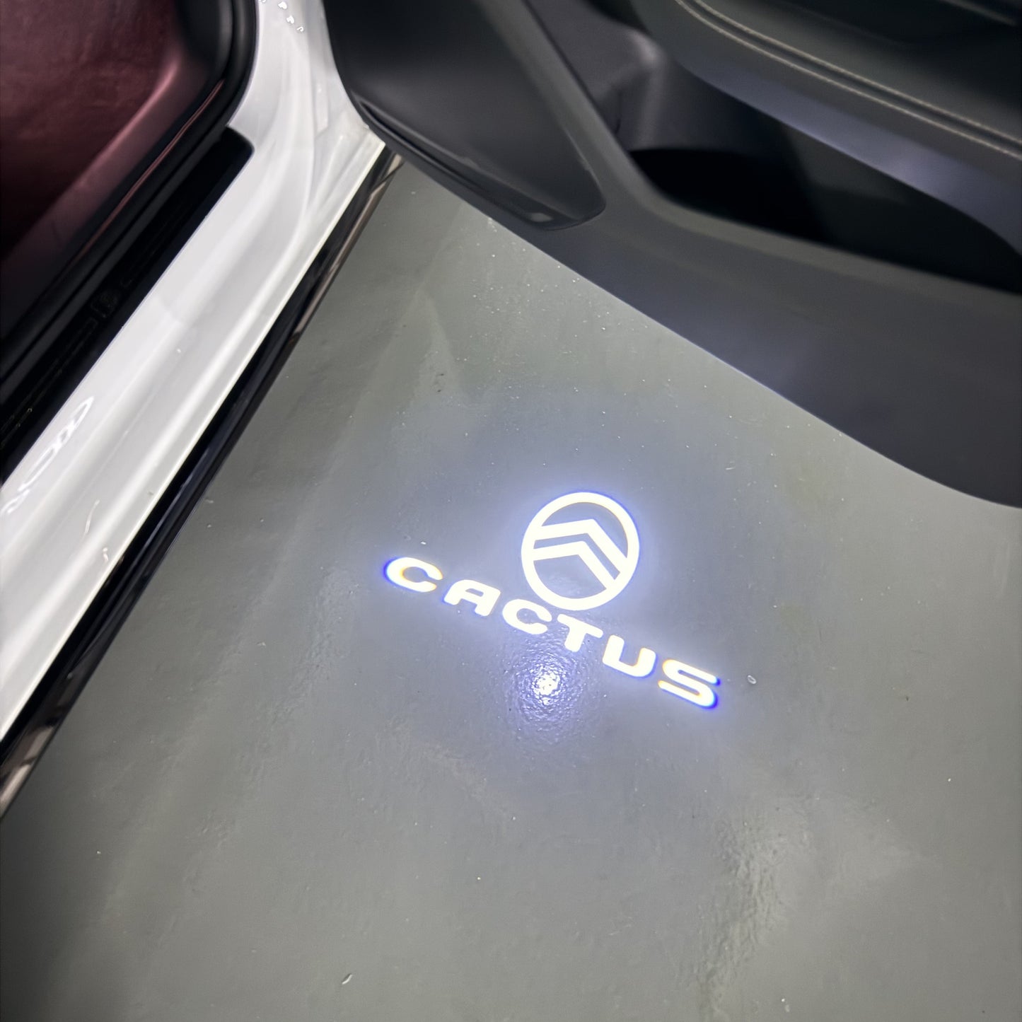 CITROËN CACTUS LOGO PROJECTOT LIGHTS (quantity 1 = 1 sets/2 door lights) Nr.6024q0t0107
