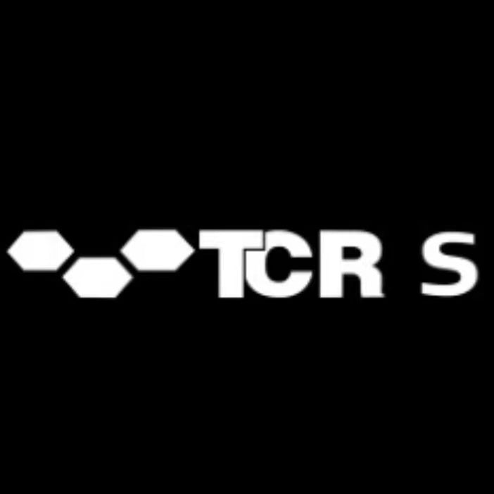 Volkswagen Door lights TCR Logo Nr.0205 (quantity 1 = 2 Logo Films /2 door lights)