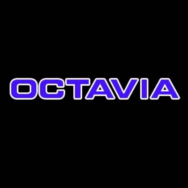 SKODA OCTAVIA LOGO PROJECTOT LIGHTS Nr.86 (quantity 1 = 2 Logo Film / 2 door lights)