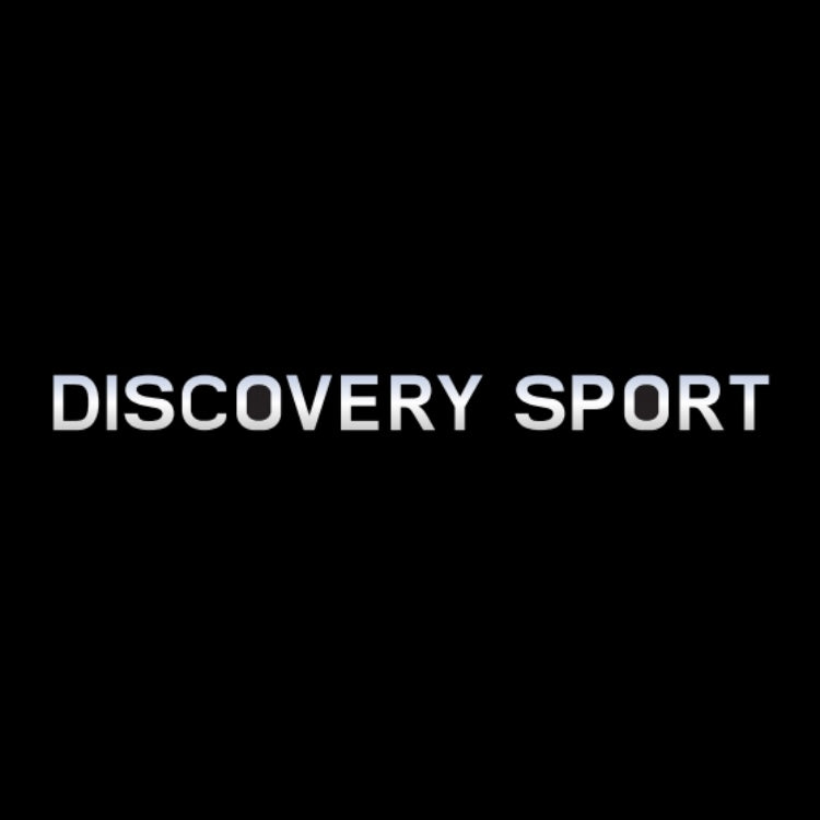 Land Rover DISCOVERY LOGO PROJECROTR LIGHTS Nr.1134 (quantity 1 = 1 sets/2 door lights)
