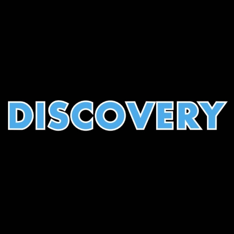 Land Rover DISCOVERY LOGO PROJECROTR LIGHTS Nr.1151 (quantity 1 = 1 sets/2 door lights)