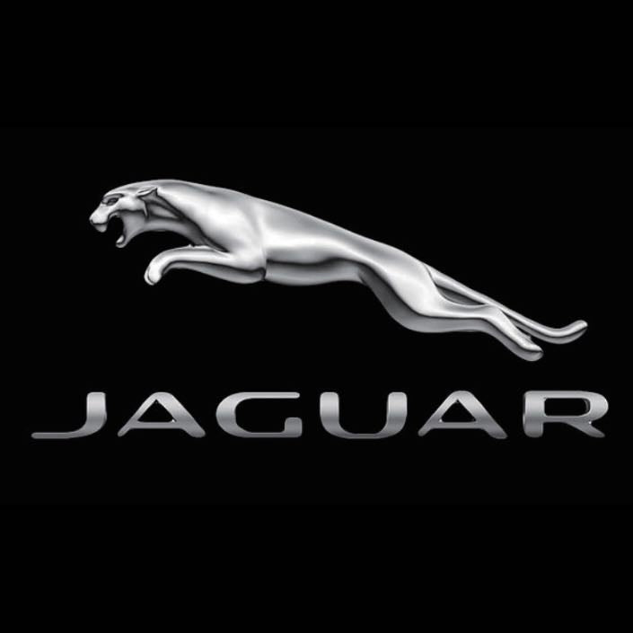 JAGUAR Original LOGO PROJECROTR LIGHTS Nr.03 (quantity 1 = 1 sets/2 door lights)
