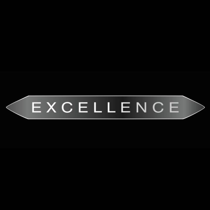 Volvo EXCELLENCE LOGO PROJECROTR LIGHTS Nr.94 (quantity 1 = 2 Logo Film / 2 door lights)