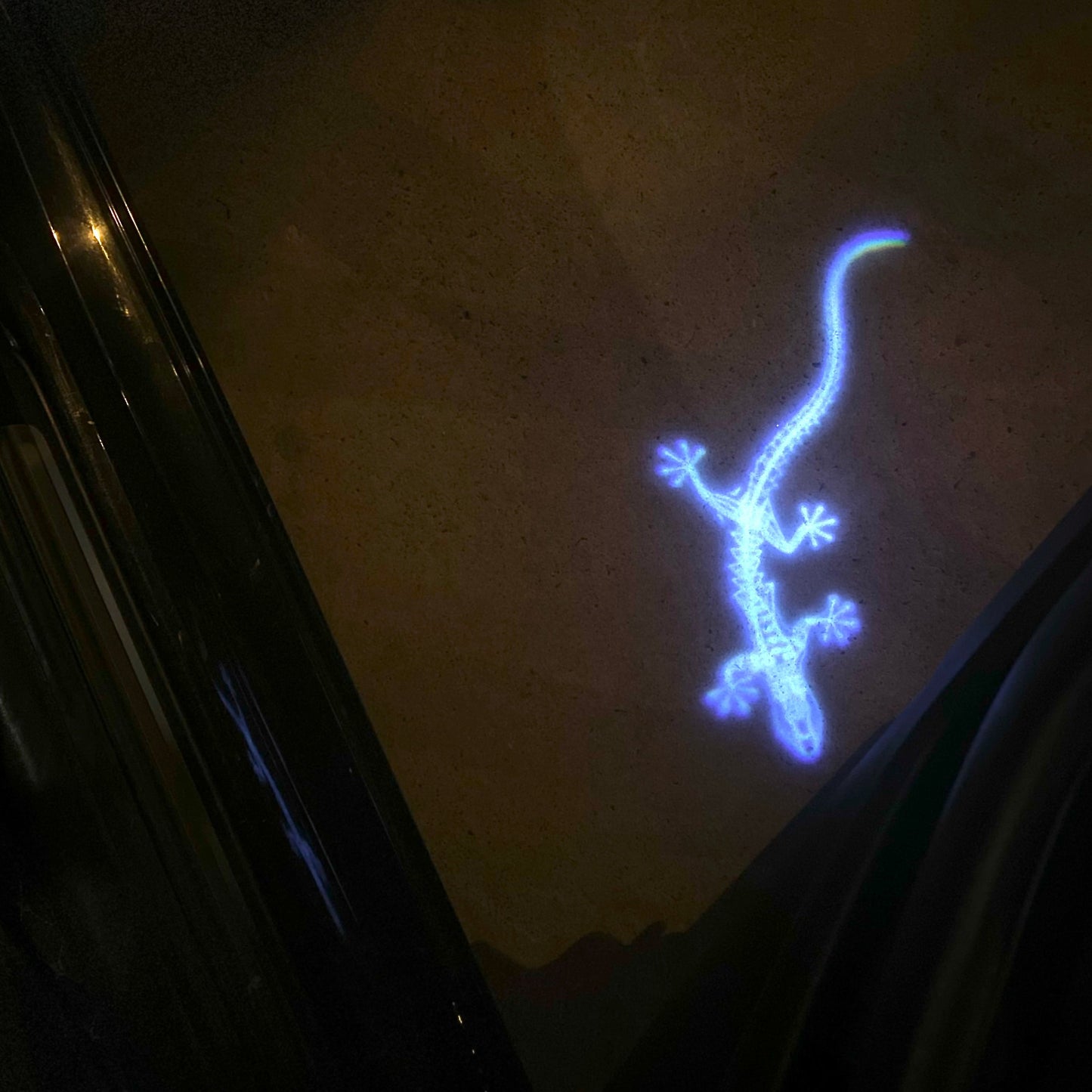 AUDI QUATTRO GECKO LOGO PROJECTOT LIGHTS Nr.64T (quantity 1 = 2 Logo Films /2 door lights)