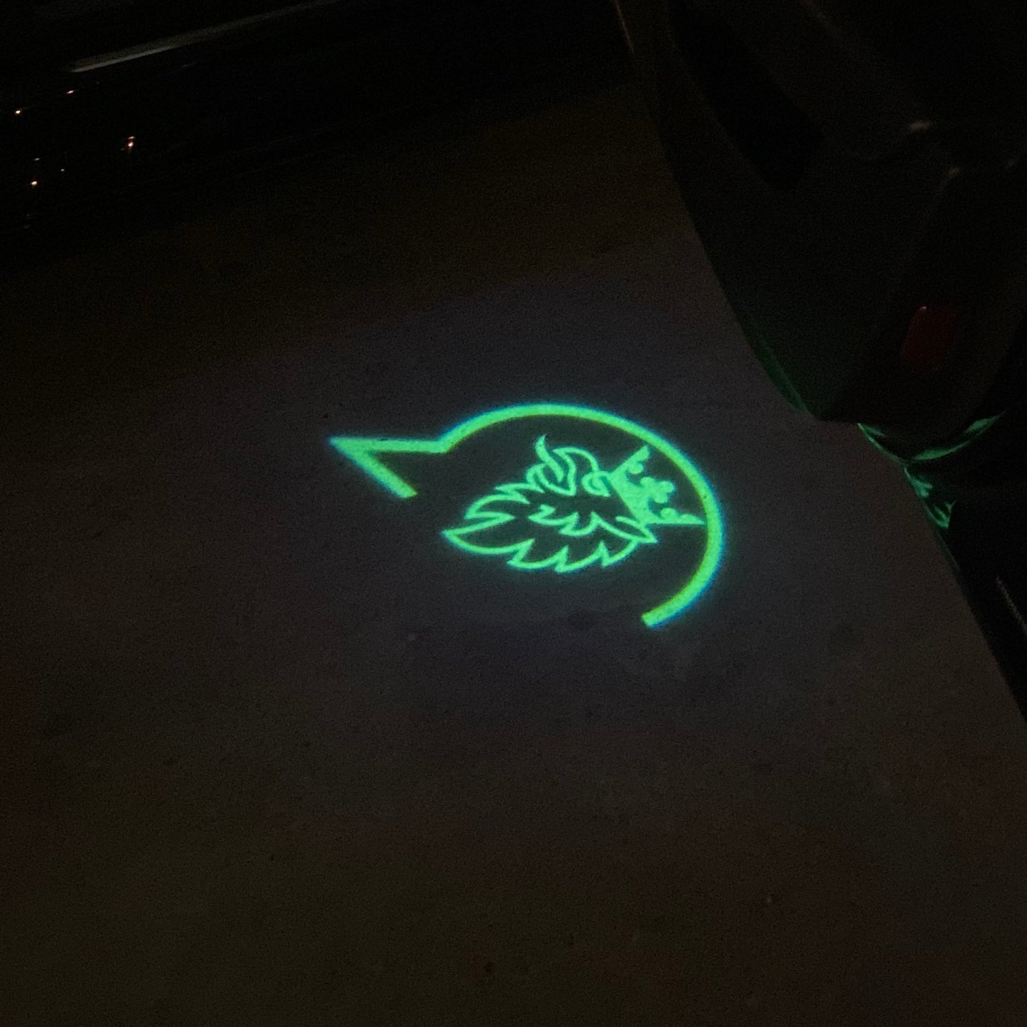 SAAB Original LOGO PROJECROTR LIGHTS Nr.2517 (quantity 1 = 1 sets/2 door lights)