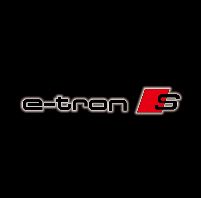 AUDI E-TRON LOGO PROJECTOT LIGHTS Nr.3720