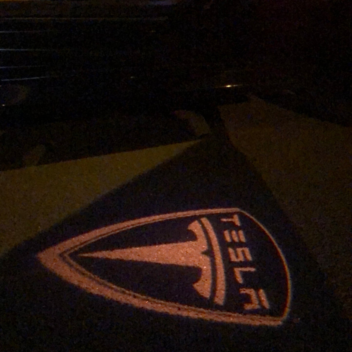 TESLA LOGO PROJECROTR LIGHTS Nr.1507 (quantity 1 = 2 Logo Film / 2 door lights)