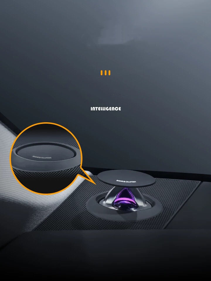 AUDI A8 / S8 - B & O LED Advanced Sound System