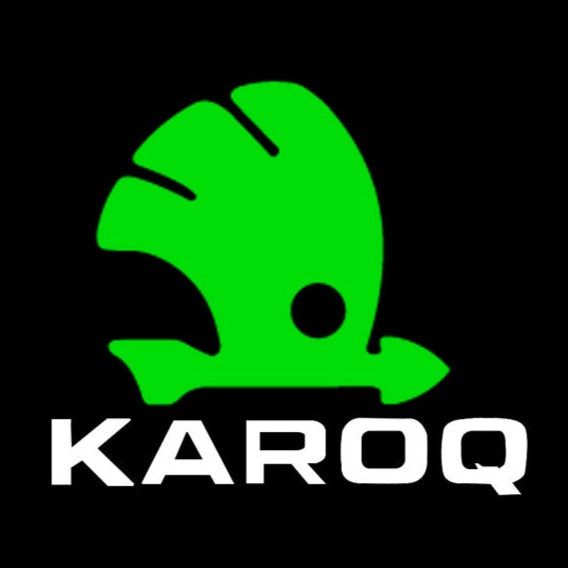 SKODA KAROQ LOGO PROJECTOT LIGHTS Nr.79 (quantity 1 = 2 Logo Film / 2 door lights)