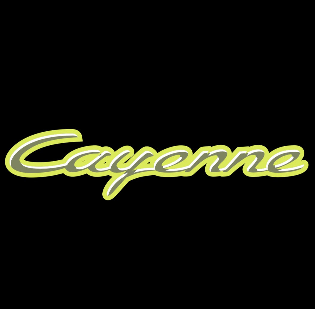 PORSCHE Cayenne LOGO PROJECTOT LIGHTS Nr.09 (quantity 1 = 2 Logo Film / 2 door lights)