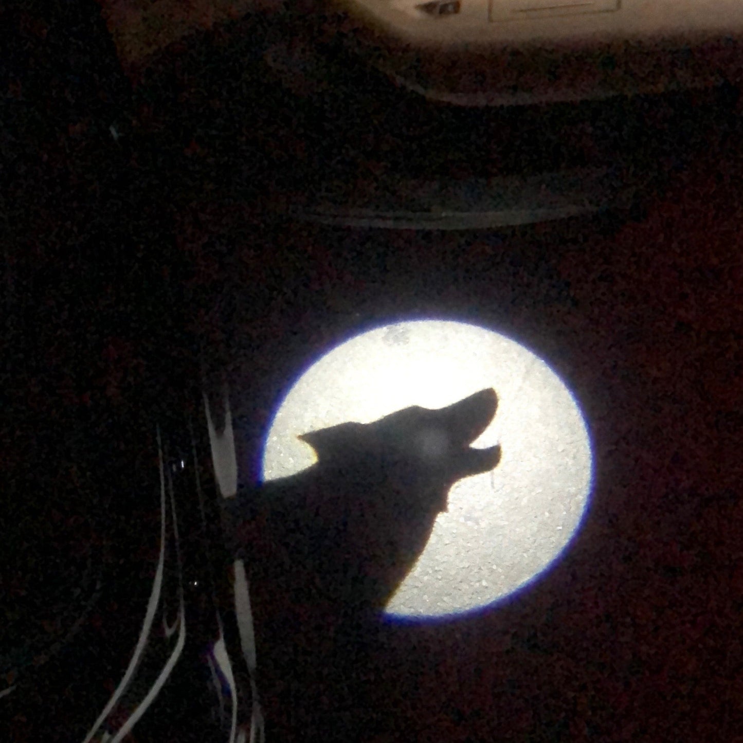 WOLF Logo door lights Nr.226 (quantity 1 = 2 Logo Films /2 door lights)Movie Series Logo