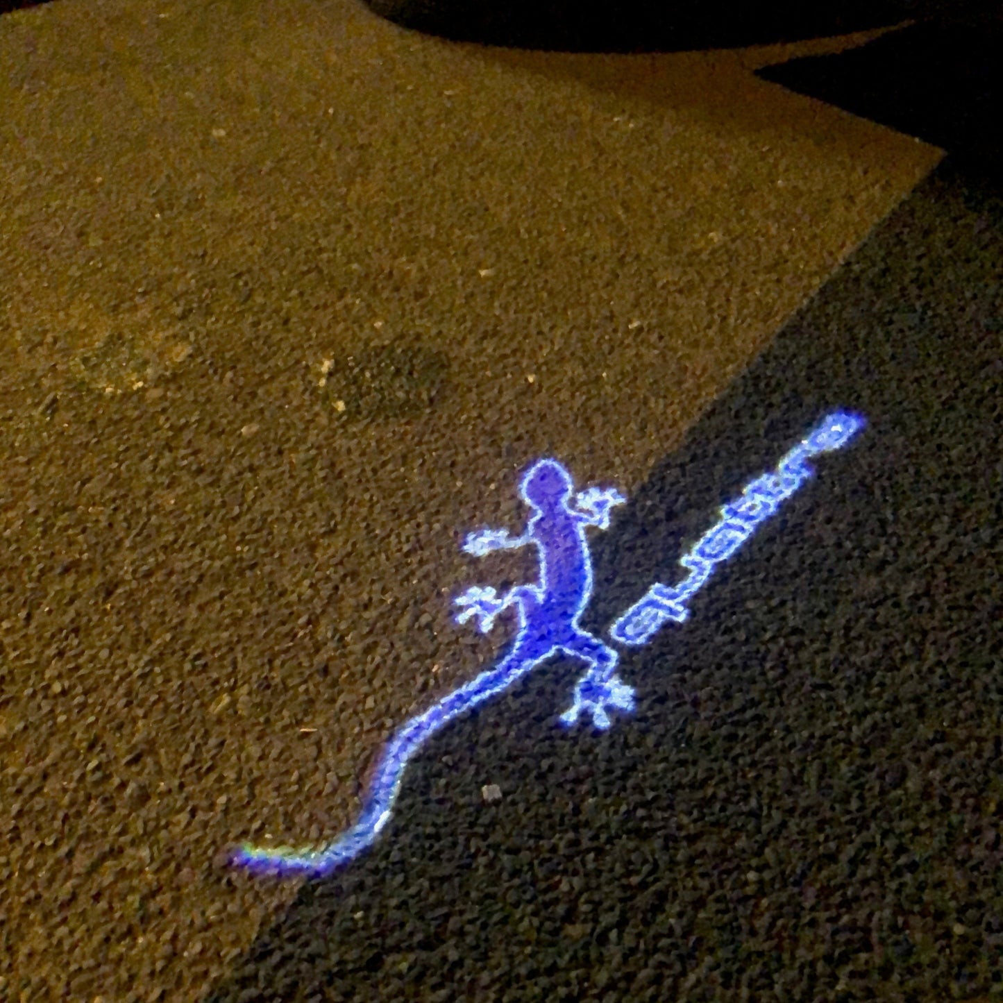 AUDI QUATTRO GECKO LOGO PROJECTOT LIGHTS Nr.68 (quantity 1 = 2 Logo Films /2 door lights)