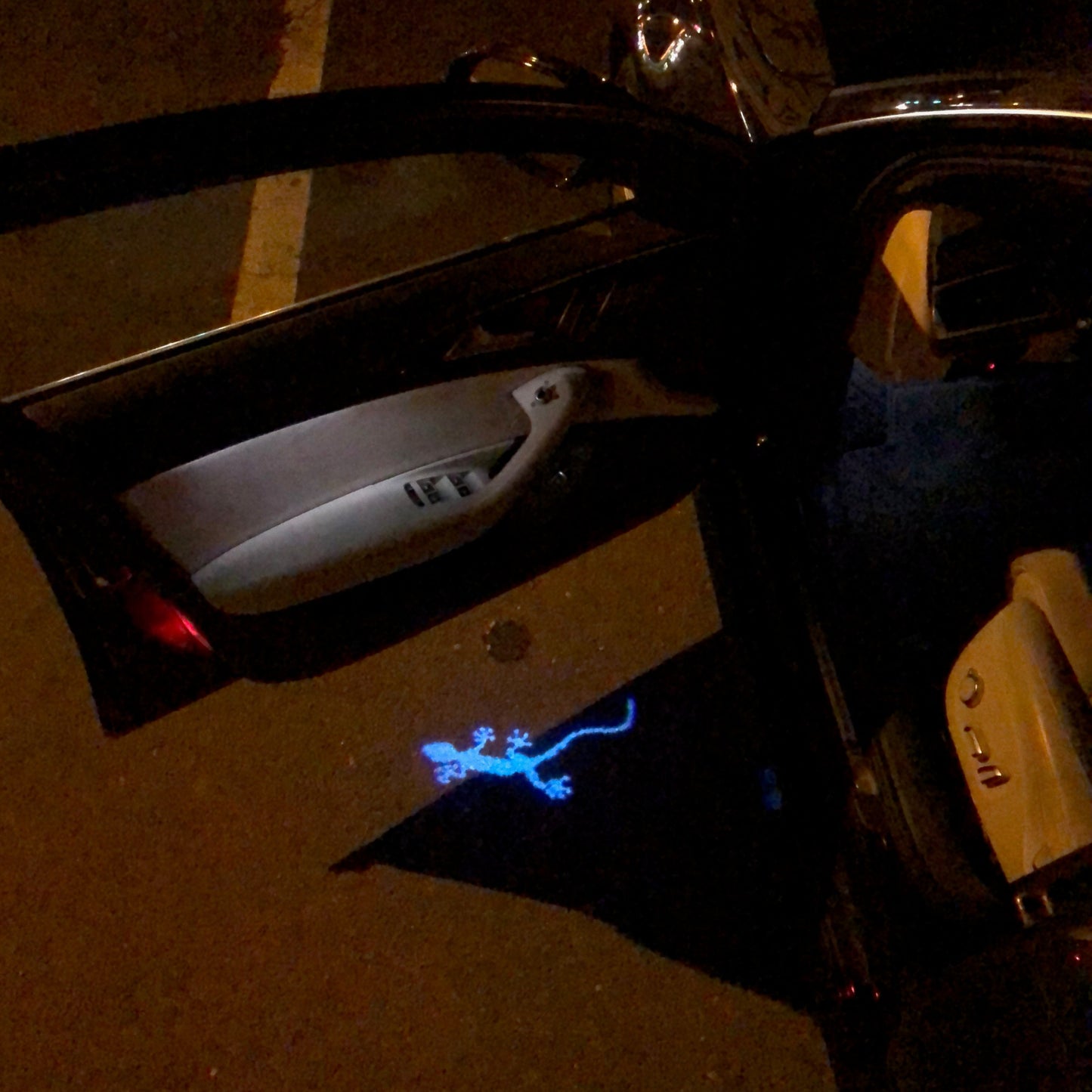 AUDI QUATTRO GECKO LOGO PROJECTOT LIGHTS Nr.65 (quantity 1 = 2 Logo Films /2 door lights)