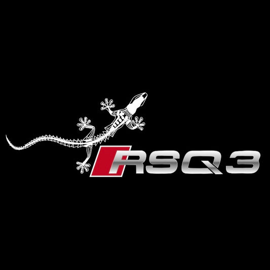 AUDI  RSQ3 LOGO PROJECTOT LIGHTS  (quantity 1 = 2 Logo Films /2 door lights）Nr.12B57