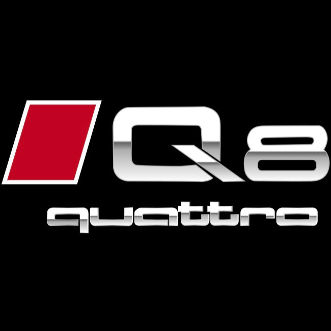 AUDI  Q8 LOGO PROJECTOT LIGHTS  (quantity 1 = 2 Logo Films /2 door lights）Nr.12B34