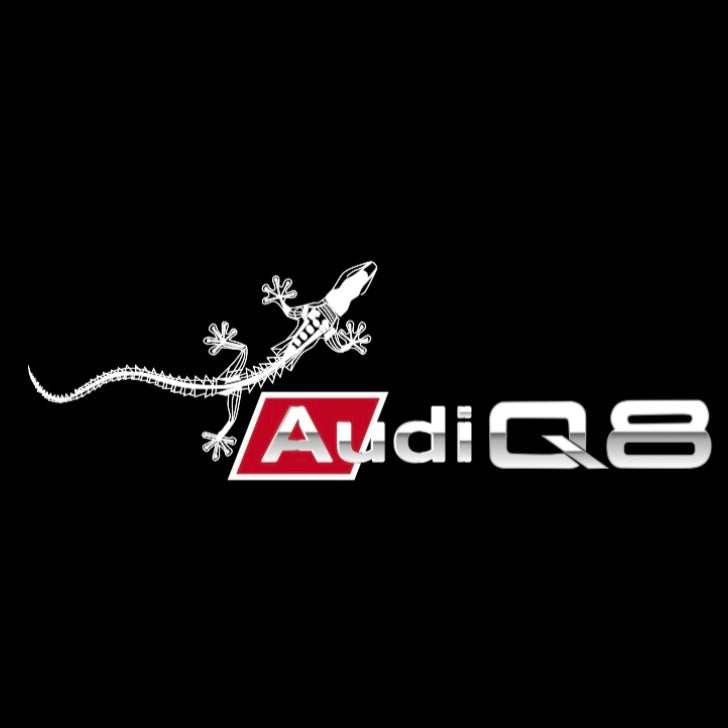 AUDI  Q8 LOGO PROJECTOT LIGHTS  (quantity 1 = 2 Logo Films /2 door lights）Nr.12B37