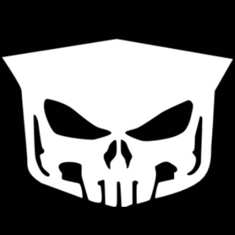 CADILLAC ORIGINAL LOGO PROJECTOT LIGHTS (quantity 1 = 2 Logo Films /2 door lights） Nr.977L