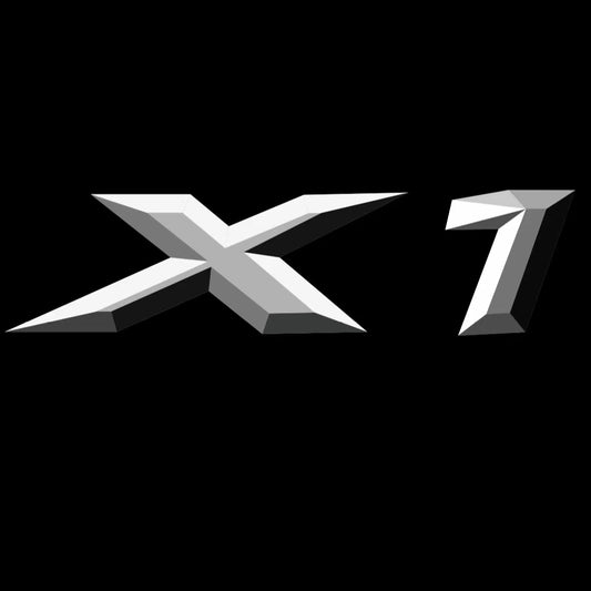 BMW X1  LOGO PROJECTOT LIGHTS (quantity 1 = 1 sets/2 door lights) Nr.6024q07