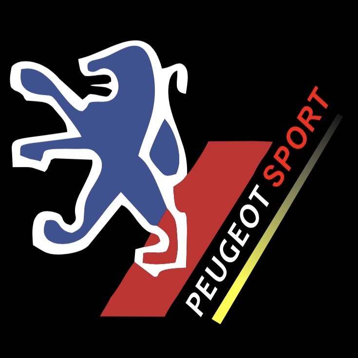 PEUGEOT  SPORT  LOGO PROJECTOT LIGHTS (quantity 1 = 1 sets/2 door lights) Nr.6024q80