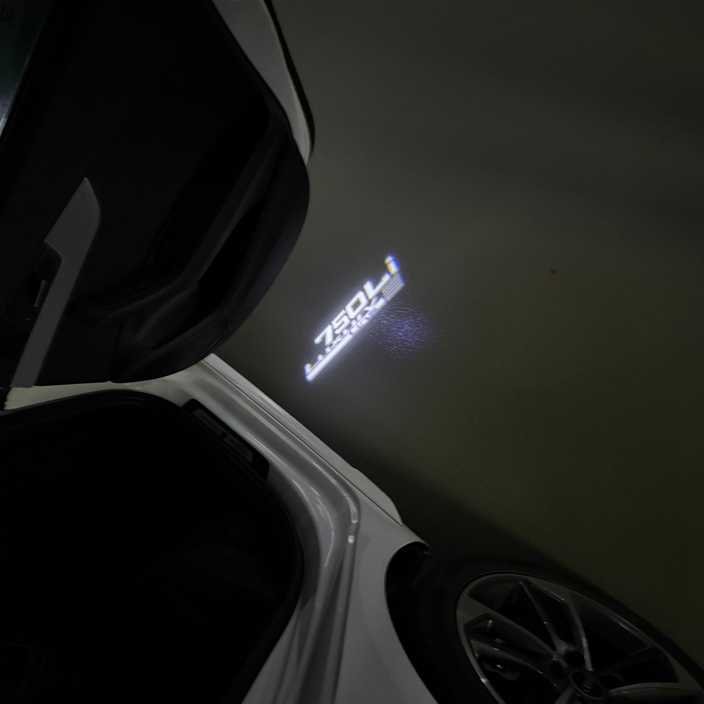 BMW  7 SERIES 750  Li  LOGO PROJECTOT LIGHTS (quantity 1 = 1 sets/2 door lights) Nr.6024q103