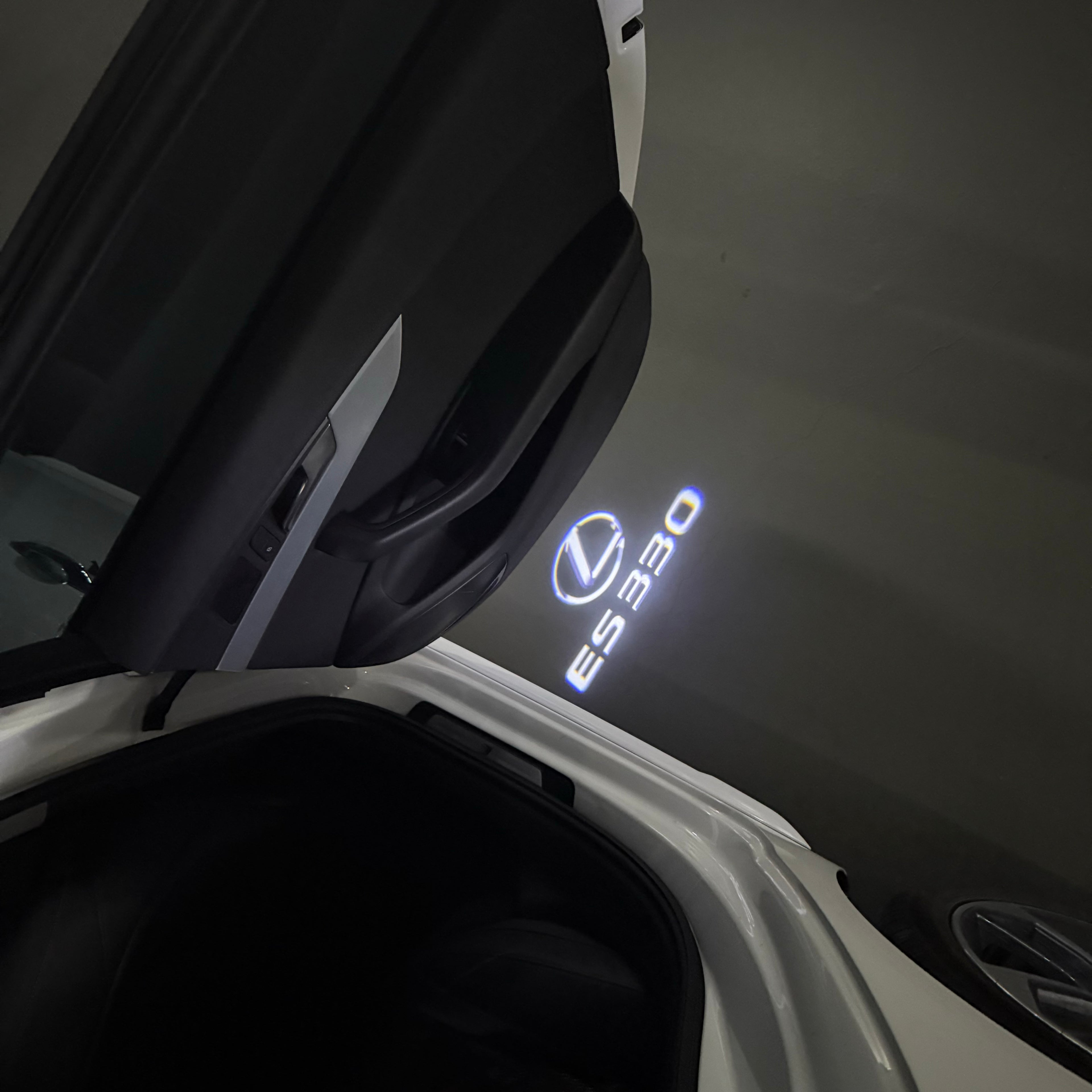 LEXUS ES 330 LOGO PROJECROTR LIGHTS (quantity 1 = 1 sets/2 door lights)Nr.01a85