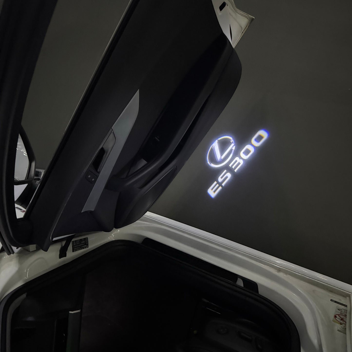 LEXUS  ES 300 LOGO PROJECROTR LIGHTS (quantity 1 = 1 sets/2 door lights)Nr.01a84