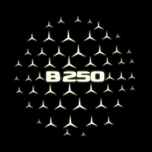 MERCEDES BENZ  B250  LOGO PROJECTOT LIGHTS  (quantity 1 = 1 sets/2 door lights)Nr.03f03