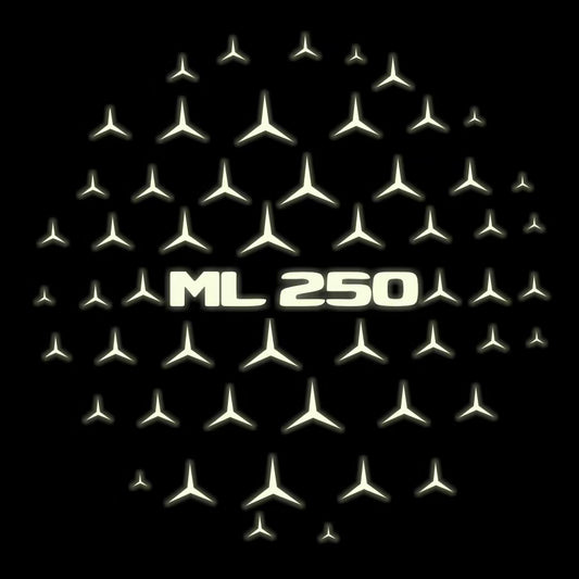 MERCEDES BENZ ML 250 LOGO PROJECTOR LIGHTS  (quantity 1 = 1 sets/2 door lights)Nr.03f014