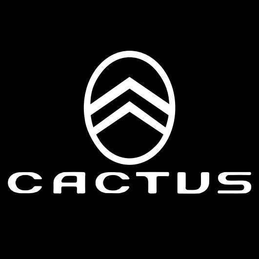 CITROËN CACTUS   LOGO PROJECTOT LIGHTS (quantity 1 = 1 sets/2 door lights) Nr.6024q0t0107
