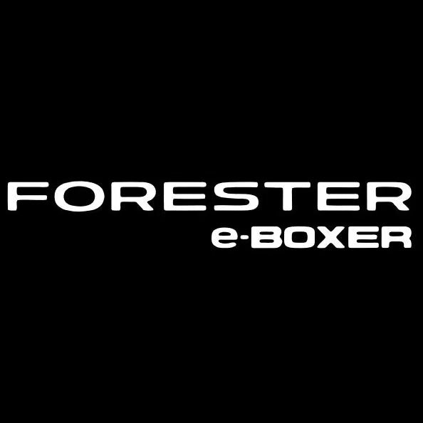 SUBARU FORESTER LOGO PROJECROTR LIGHTS (quantity 1 = 1 sets/2 door lights) Nr.03A28