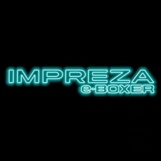 SUBARU IMPREZA LOGO PROJECROTR LIGHTS (quantity 1 = 1 sets/2 door lights) Nr.03A47