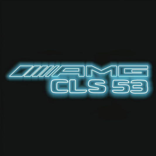 MERCEDES BENZ  CLS 53 AMG LOGO PROJECTOT LIGHTS  (quantity 1 = 1 sets/2 door lights)Nr.03f07
