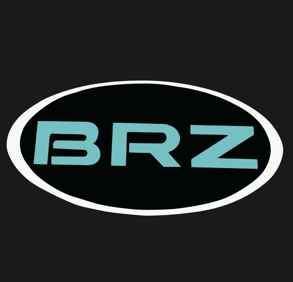 BRZ  LOGO PROJECROTR LIGHTS Nr.03 (quantity 1 = 1 sets/2 door lights)