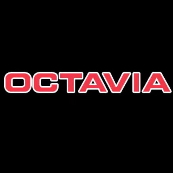 SKODA OCTAVIA LOGO LIGHTS Nr.106 (cantidad 1 = 2 logo película / 2 luces de puerta)