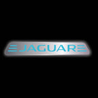 LUCI PROIETTORI LOGO JAGUAR Nr.23 (quantità 1 = 1 set / 2 luci porta)