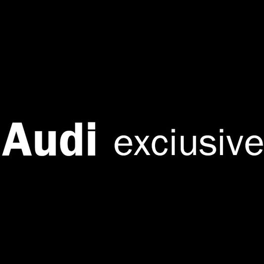 AUDI  EXCLUSIVE LOGO PROJECTOT LIGHTS Nr.73  (quantity 1 = 2 Logo Films /2 door lights）