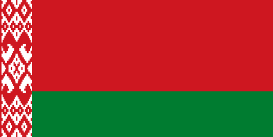 Belarus Беларусь  National Flag  logo door lights (quantity 1 = 1 sets / 2 logo film /  Can replace of lights  other logos )