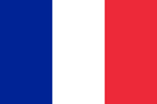 France République française Nationalflaggenlogo (Menge 1 = 1 Sätze / 2 Logofilme / Kann Lichter anderer Logos ersetzen)