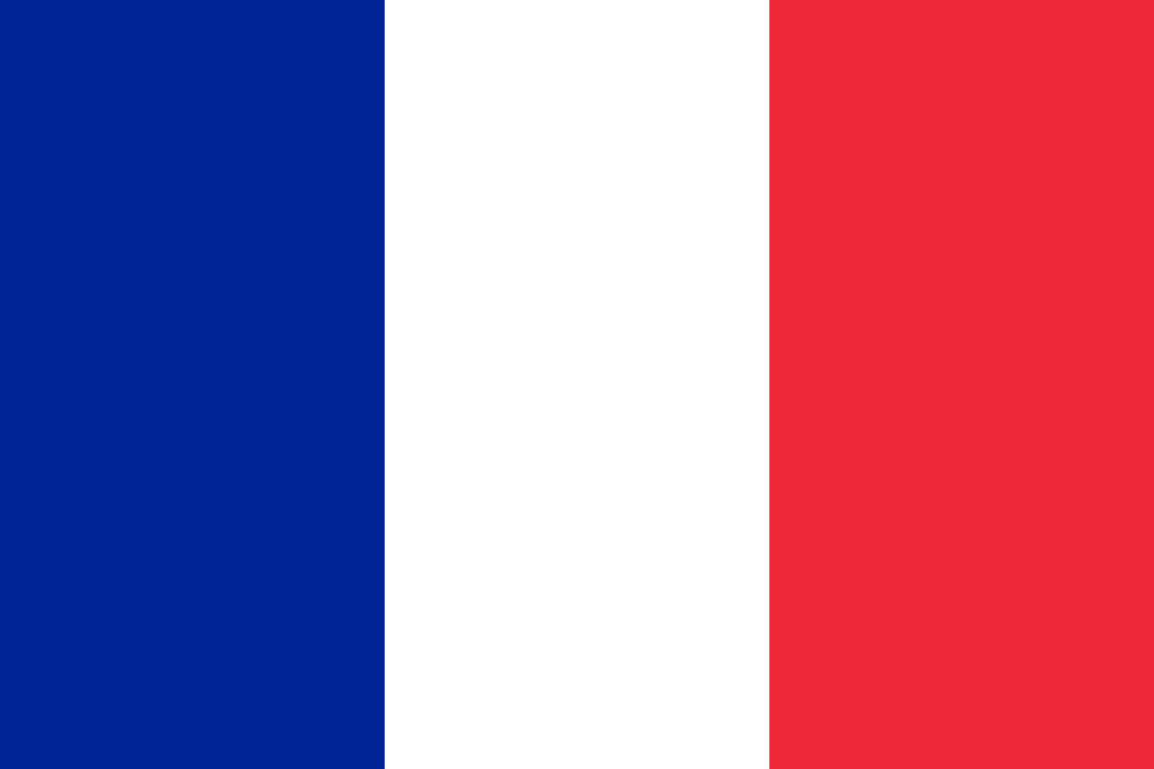 Logo France République française National Flag (quantità 1 = 1 set / 2 pellicole con logo / Può sostituire di luci altri loghi)