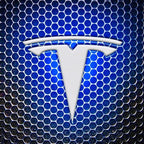 TESLA LOGO PROJECROTR LIGHTS Nr.1509 (quantity  1 =  2 Logo Film /  2 door lights)