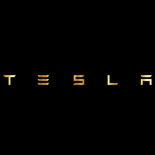 TESLA LOGO PROJECROTR LIGHTS Nr.1516 (quantity  1 =  2 Logo Film /  2 door lights)
