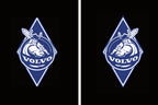 Volvo Original  LOGO PROJECROTR LIGHTS Nr.137 (quantity  1 =  2 Logo Film /  2 door lights)