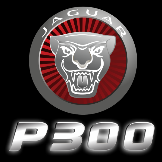 JAGUAR P 300 LOGO PROJECROTR LIGHTS Nr.94  (quantity 1 = 1 sets/2 door lights)